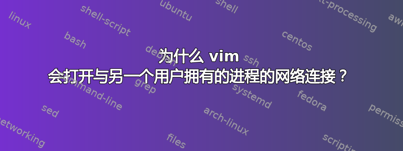 为什么 vim 会打开与另一个用户拥有的进程的网络连接？