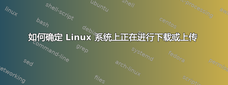 如何确定 Linux 系统上正在进行下载或上传