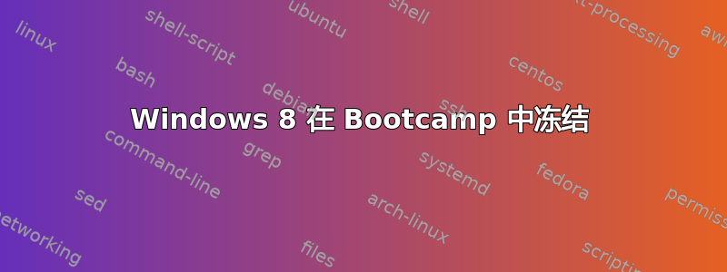 Windows 8 在 Bootcamp 中冻结