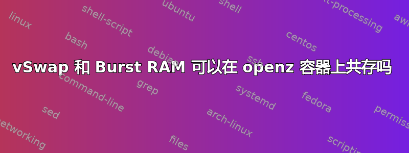 vSwap 和 Burst RAM 可以在 openz 容器上共存吗