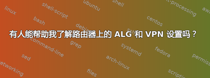 有人能帮助我了解路由器上的 ALG 和 VPN 设置吗？