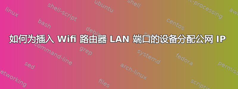 如何为插入 Wifi 路由器 LAN 端口的设备分配公网 IP