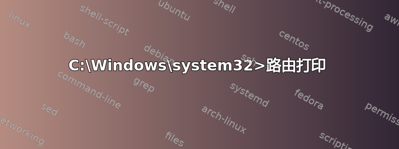 C:\Windows\system32>路由打印