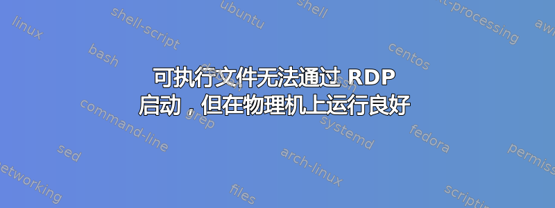 可执行文件无法通过 RDP 启动，但在物理机上运行良好