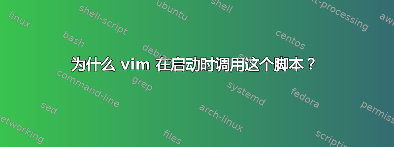 为什么 vim 在启动时调用这个脚本？