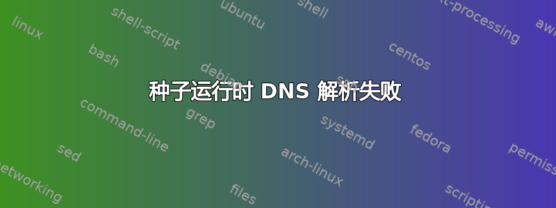 种子运行时 DNS 解析失败