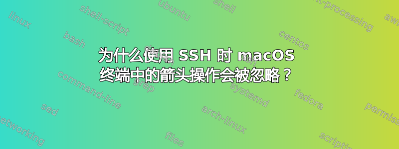 为什么使用 SSH 时 macOS 终端中的箭头操作会被忽略？