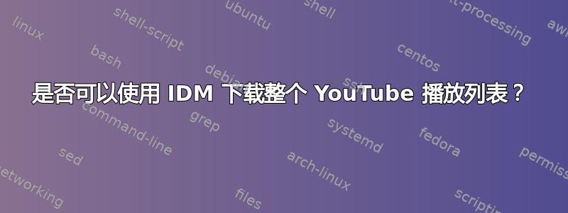 是否可以使用 IDM 下载整个 YouTube 播放列表？