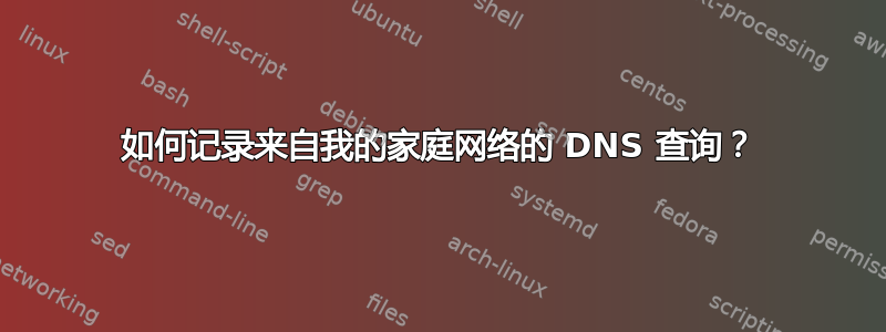 如何记录来自我的家庭网络的 DNS 查询？