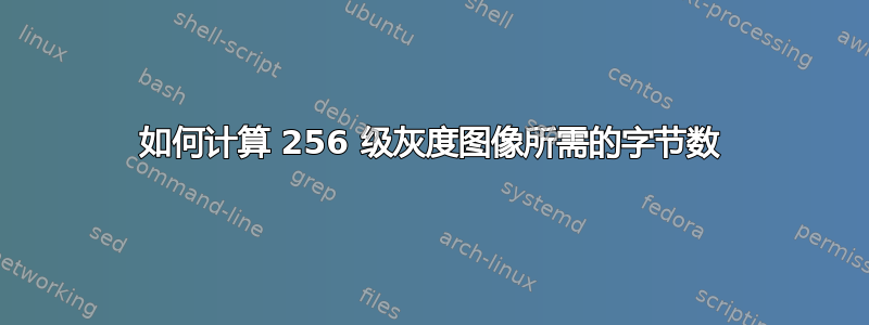 如何计算 256 级灰度图像所需的字节数