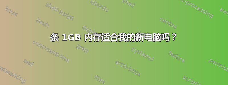 2 条 1GB 内存适合我的新电脑吗？