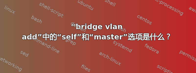 “bridge vlan add”中的“self”和“master”选项是什么？