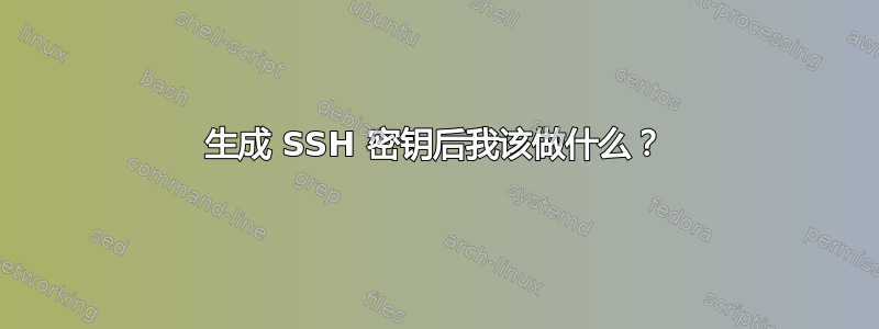 生成 SSH 密钥后我该做什么？