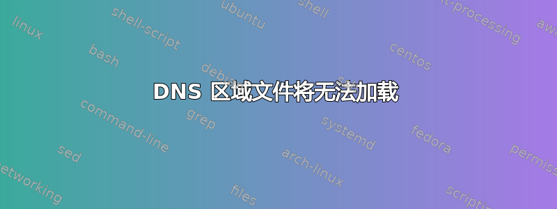 DNS 区域文件将无法加载