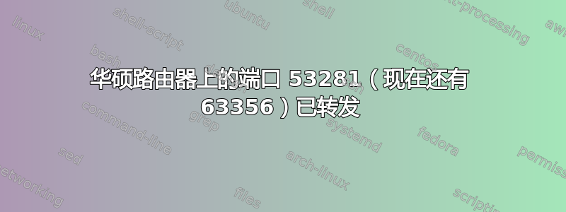 华硕路由器上的端口 53281（现在还有 63356）已转发