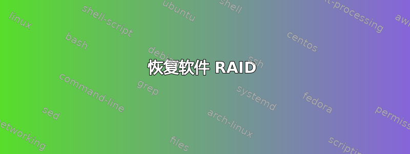 恢复软件 RAID