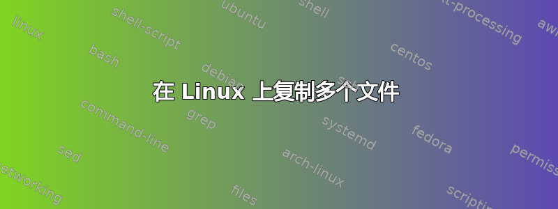 在 Linux 上复制多个文件