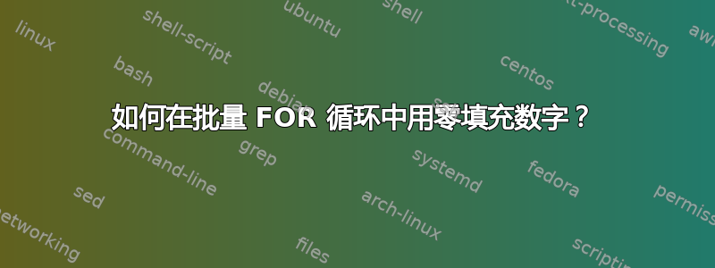 如何在批量 FOR 循环中用零填充数字？