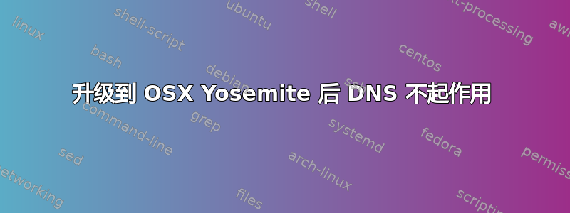 升级到 OSX Yosemite 后 DNS 不起作用