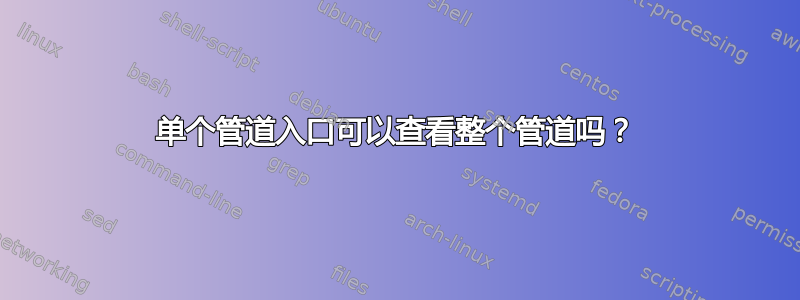 单个管道入口可以查看整个管道吗？