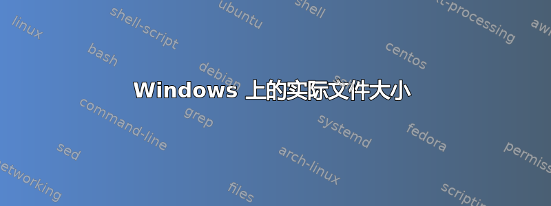 Windows 上的实际文件大小