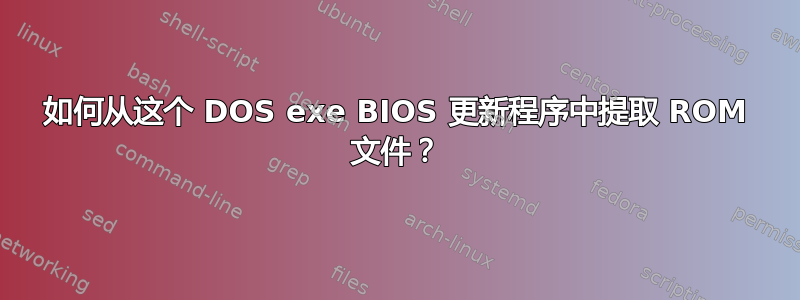 如何从这个 DOS exe BIOS 更新程序中提取 ROM 文件？