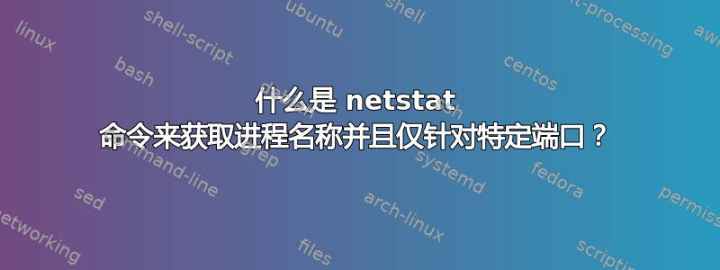 什么是 netstat 命令来获取进程名称并且仅针对特定端口？