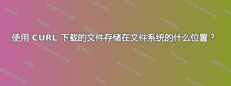 使用 CURL 下载的文件存储在文件系统的什么位置？