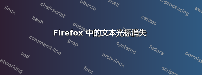 Firefox 中的文本光标消失