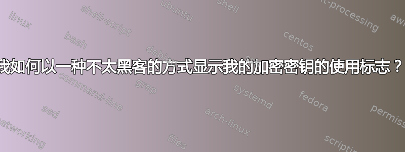 我如何以一种不太黑客的方式显示我的加密密钥的使用标志？