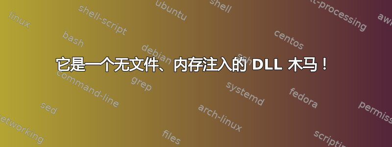 它是一个无文件、内存注入的 DLL 木马！