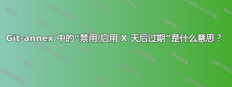 Git-annex 中的“禁用/启用 X 天后过期”是什么意思？