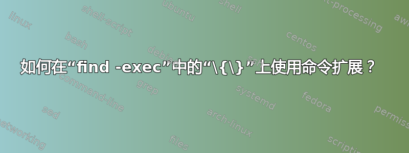 如何在“find -exec”中的“\{\}”上使用命令扩展？ 