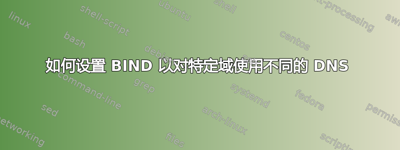 如何设置 BIND 以对特定域使用不同的 DNS