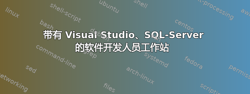 带有 Visual Studio、SQL-Server 的软件开发人员工作站 