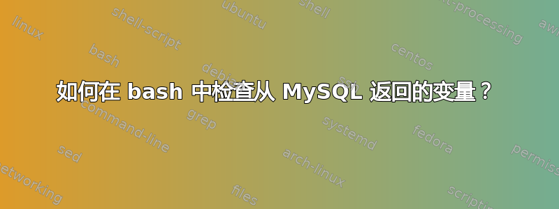 如何在 bash 中检查从 MySQL 返回的变量？