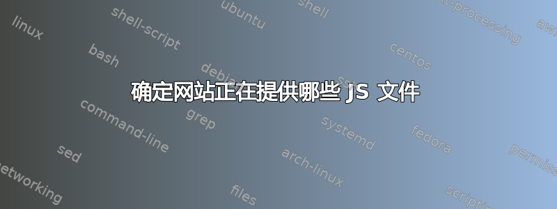 确定网站正在提供哪些 JS 文件