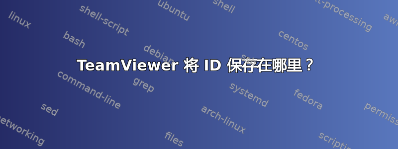 TeamViewer 将 ID 保存在哪里？