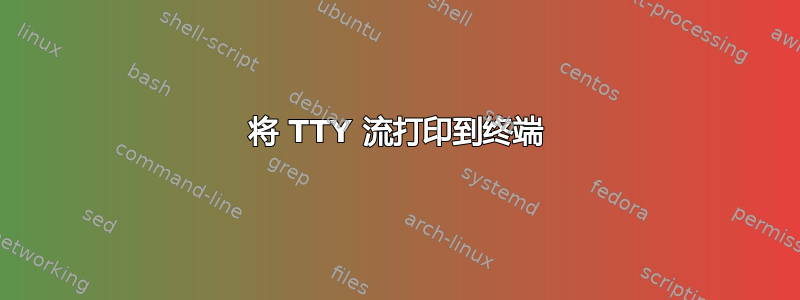 将 TTY 流打印到终端