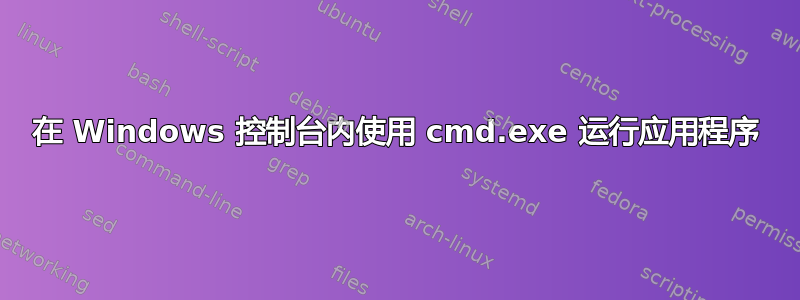 在 Windows 控制台内使用 cmd.exe 运行应用程序