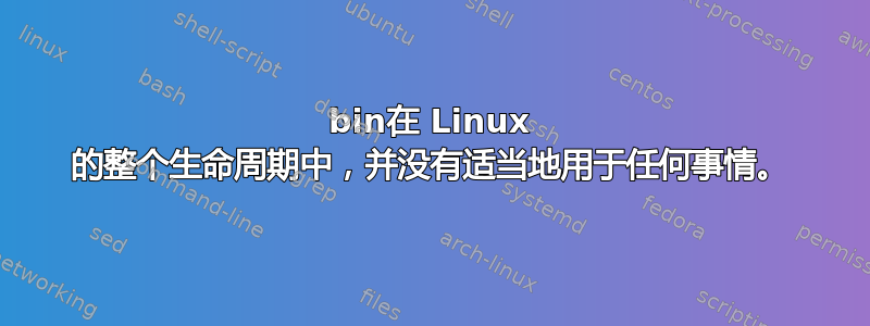 bin在 Linux 的整个生命周期中，并没有适当地用于任何事情。