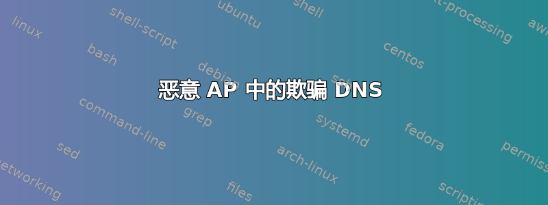 恶意 AP 中的欺骗 DNS