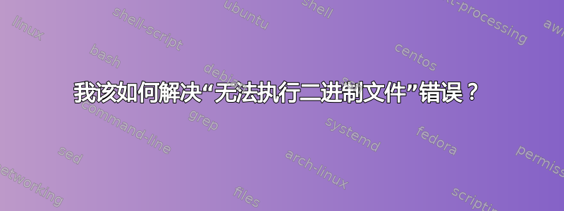 我该如何解决“无法执行二进制文件”错误？