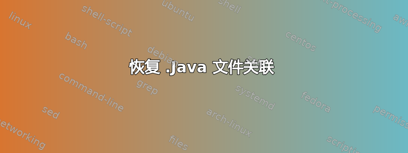 恢复 .Java 文件关联