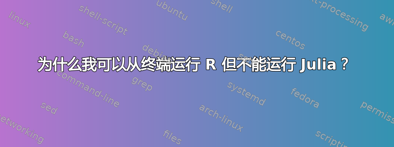 为什么我可以从终端运行 R 但不能运行 Julia？