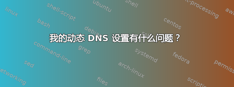 我的动态 DNS 设置有什么问题？