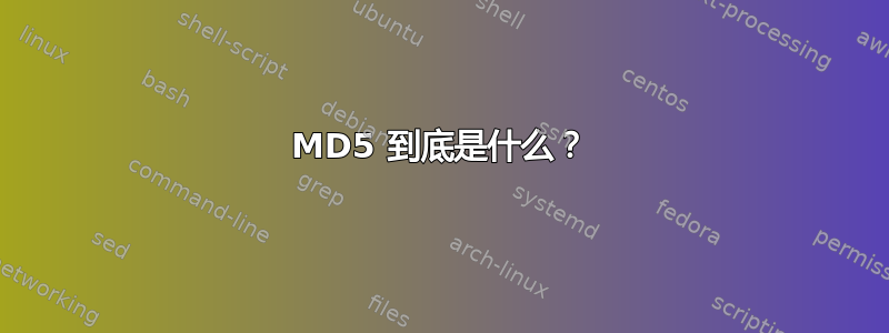 MD5 到底是什么？