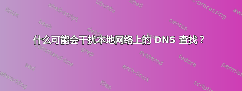 什么可能会干扰本地网络上的 DNS 查找？