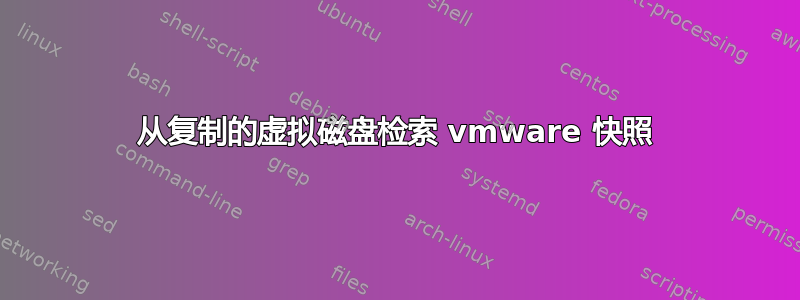 从复制的虚拟磁盘检索 vmware 快照