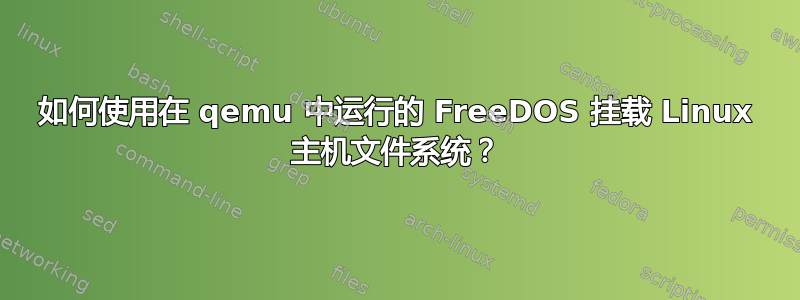 如何使用在 qemu 中运行的 FreeDOS 挂载 Linux 主机文件系统？